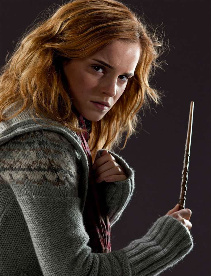 Ένα πραγματικά, πραγματικά, πραγματικά, Big Hermione Granger online παζλ