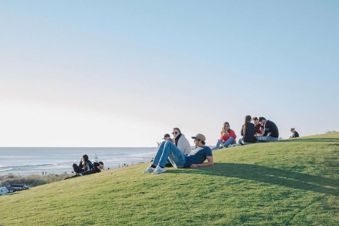 personnes assis sur le champ d'herbe verte pendant la journée puzzle en ligne