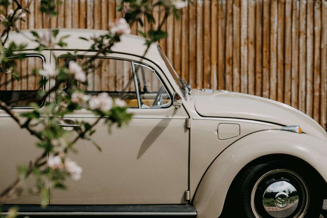Auto classica bianca parcheggiata vicino a recinzione in legno marrone puzzle online