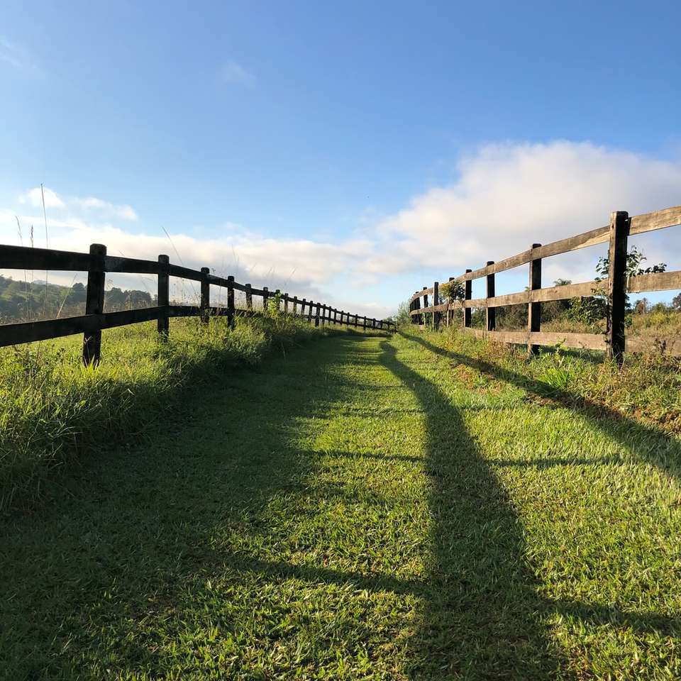 Champ d'herbe verte avec une clôture en bois marron sous le ciel bleu puzzle en ligne