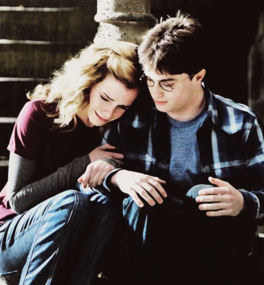 Harry Potter och den dumma Fröken Granger pussel på nätet