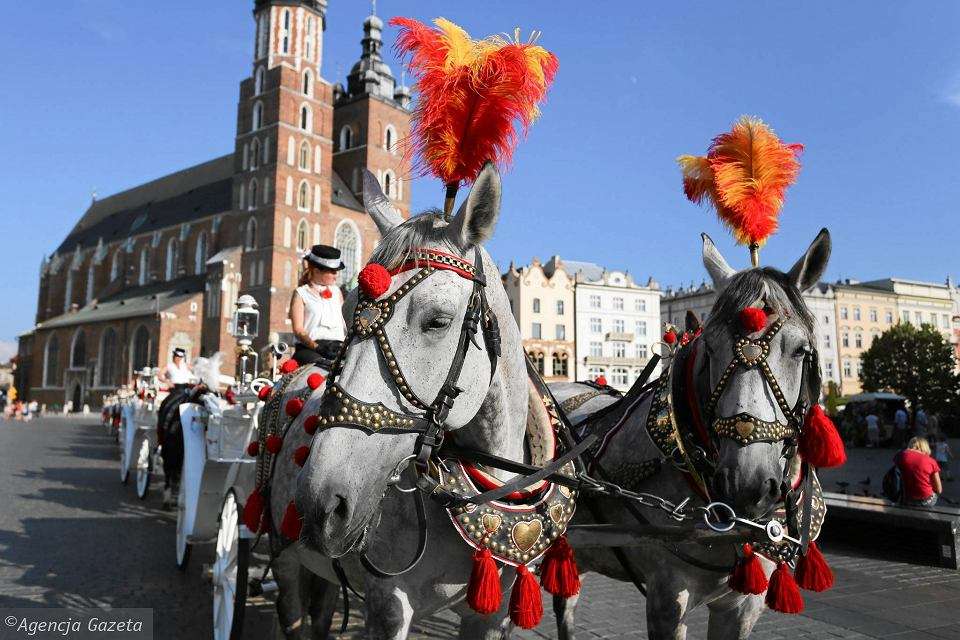 Cavalos e uma carruagem em Cracóvia puzzle online