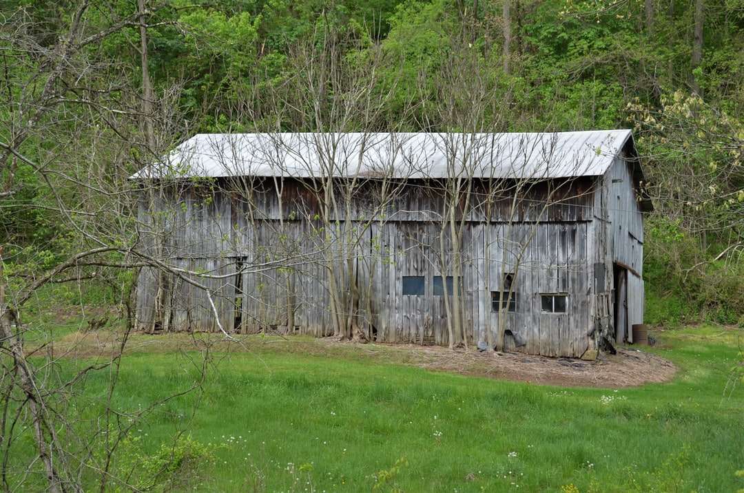 Casa di legno marrone sul campo di erba verde puzzle online