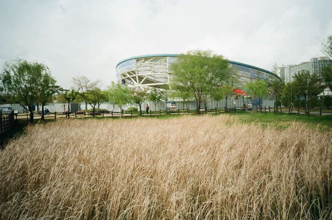 Bílá budova poblíž hnědé trávy pole během dne skládačky online