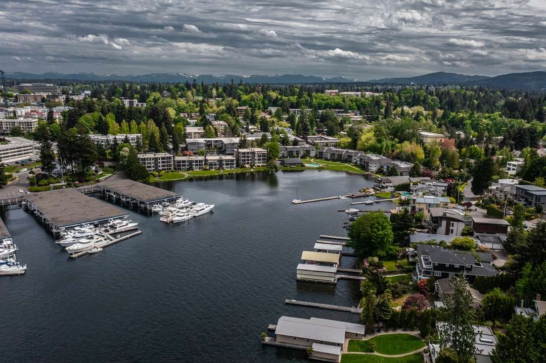 Vista aerea degli edifici della città vicino al corpo dell'acqua puzzle online