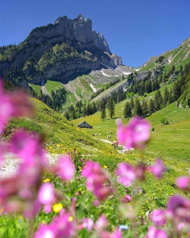 Primavera nelle Alpi. puzzle online