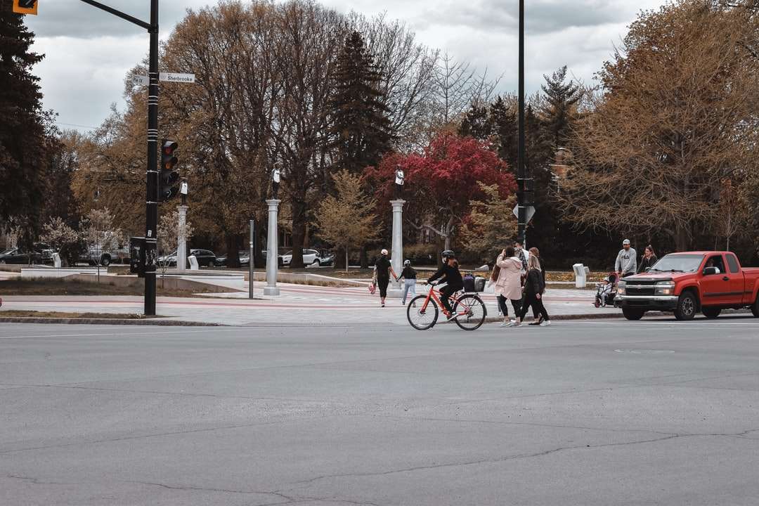 Οι άνθρωποι που οδηγούν ποδήλατα στο δρόμο κοντά σε γυμνά δέντρα online παζλ