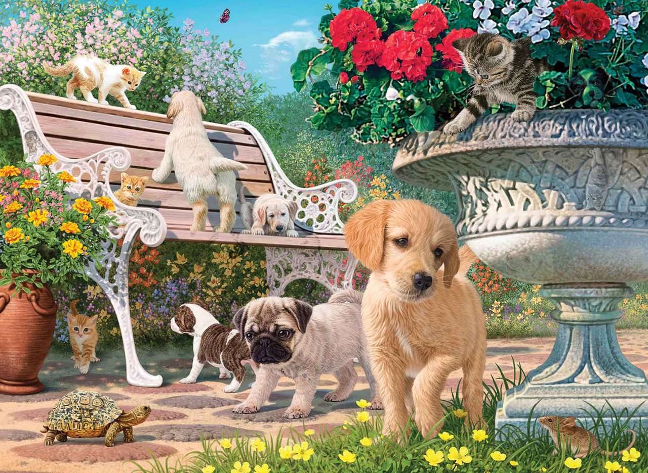 Pets Hide and Seek jigsaw puzzle online