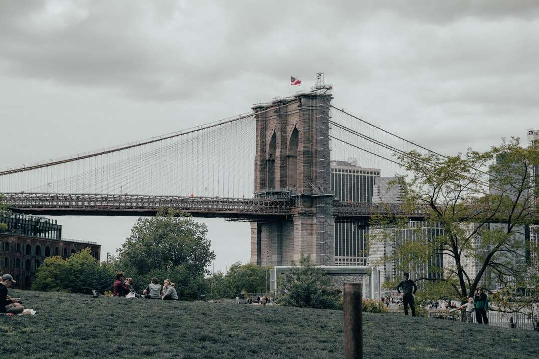 άνθρωποι που περπατούν στο πράσινο γρασίδι κοντά στη γέφυρα παζλ online