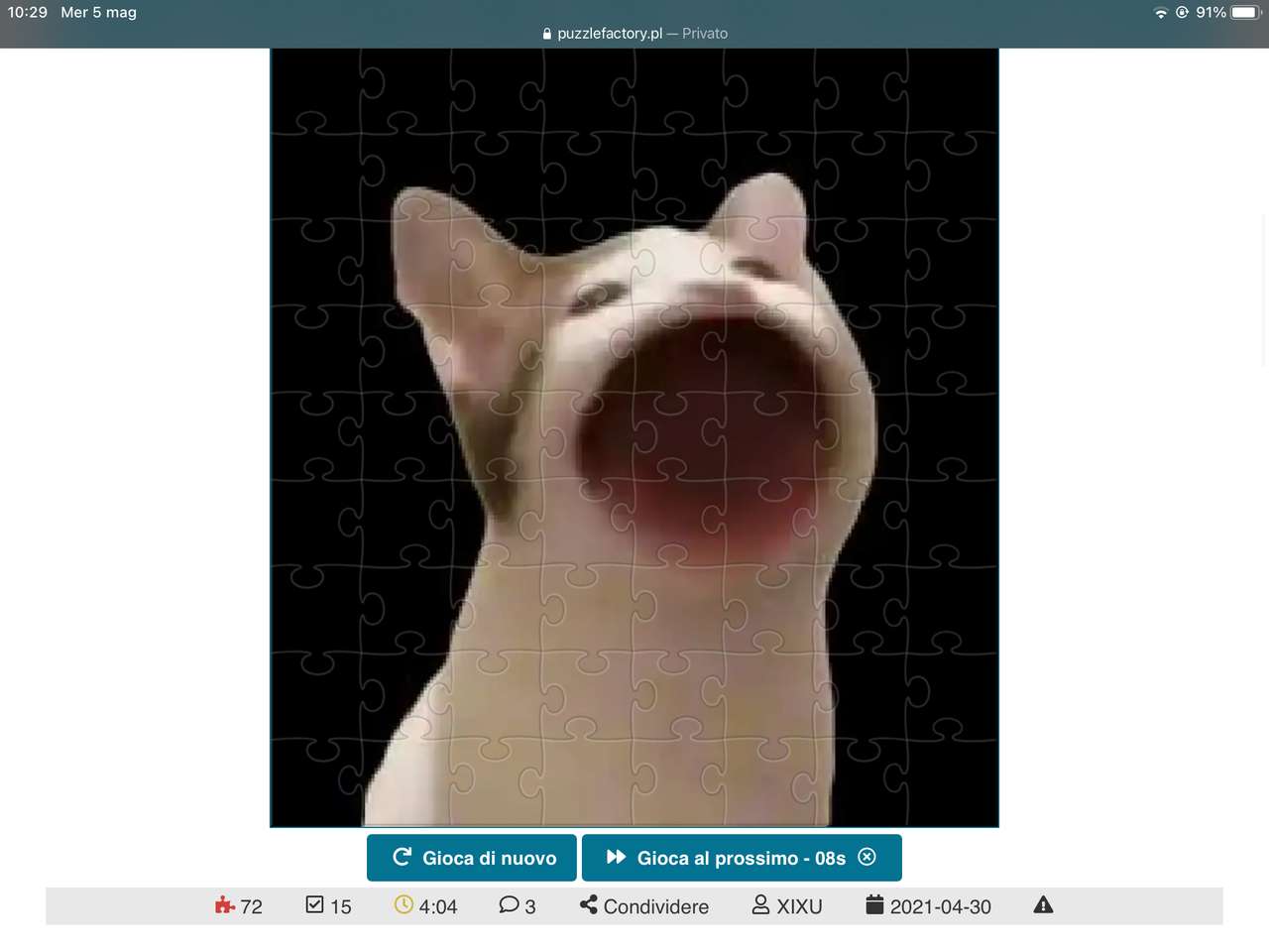 Les chats ont bob puzzle en ligne