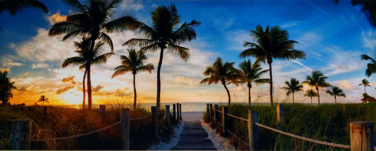 Panoramiska palmer på stranden pussel på nätet