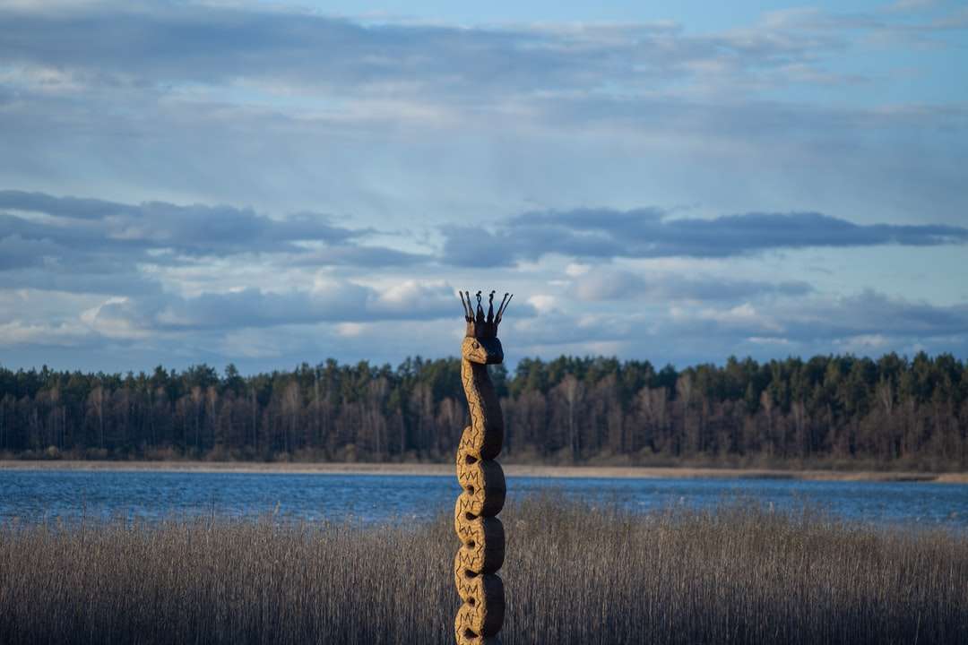 Браун и черна птица върху клокено дърво близо до тялото онлайн пъзел