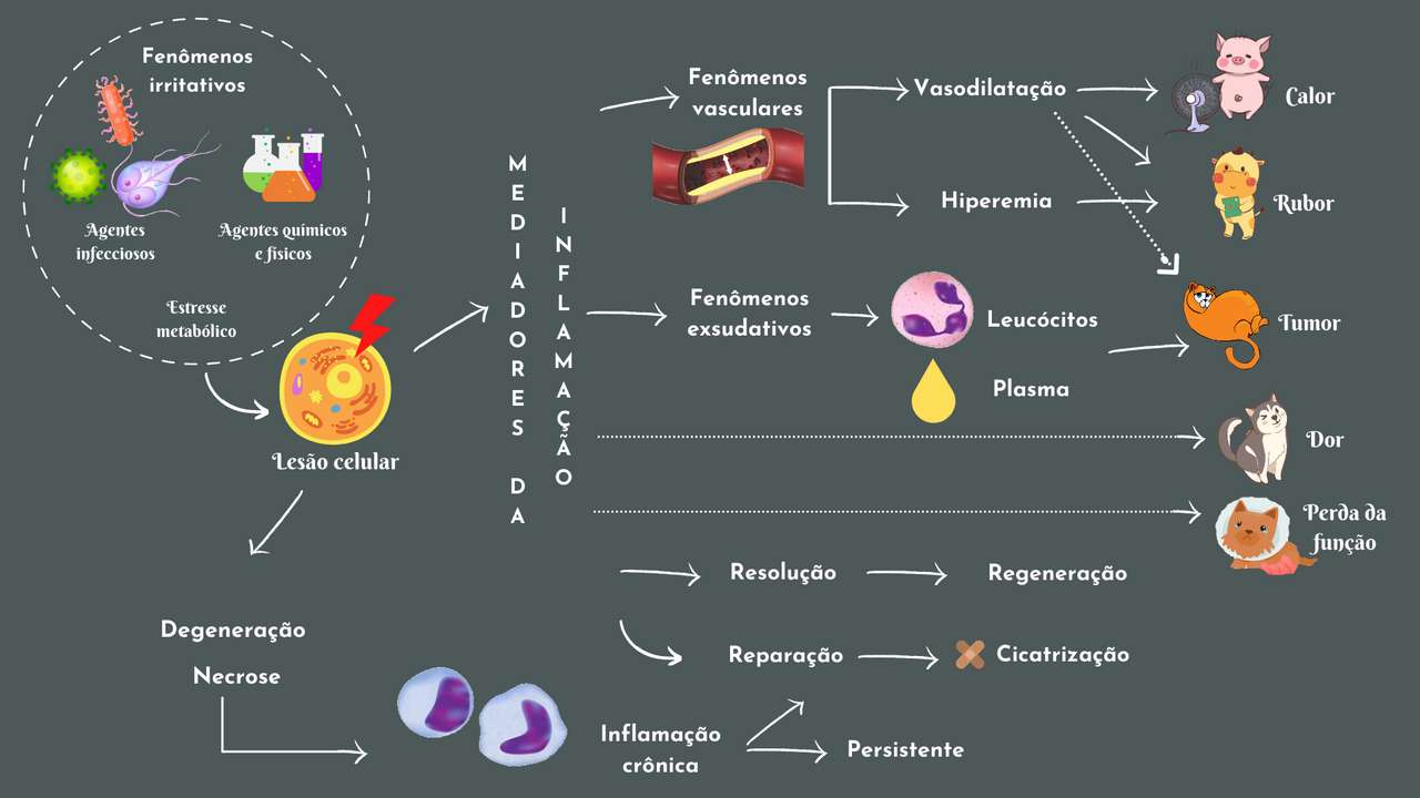 Patologia Veterinară – Inflamație jigsaw puzzle online