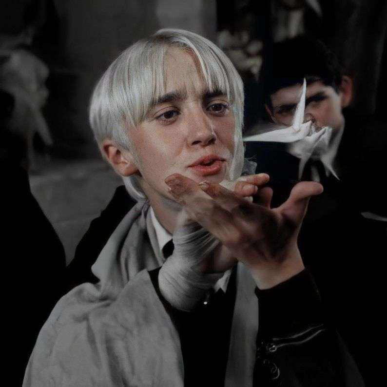Draco Malfoy. Online-Puzzle