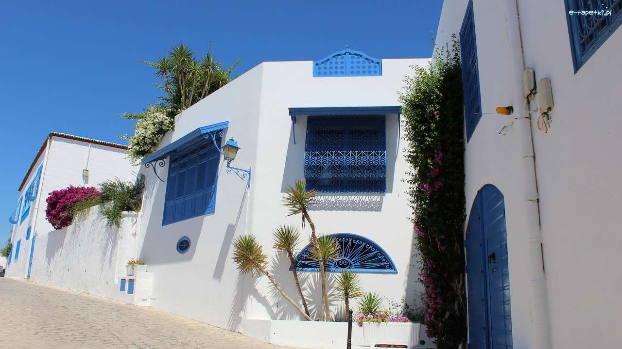 Hus i tunisien pussel på nätet