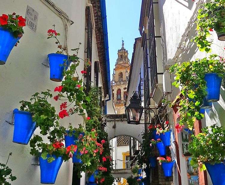 A launched street in Cordoba online puzzle