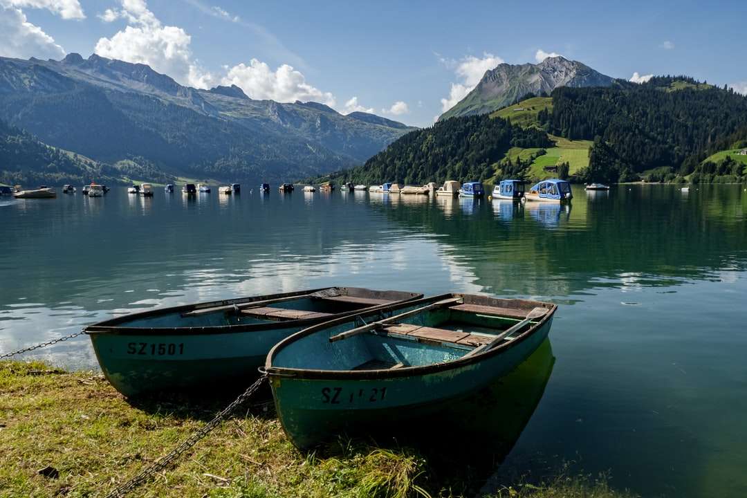 Blaues und braunes Boot auf grünem Gras nahe Körper des Wassers Puzzlespiel online