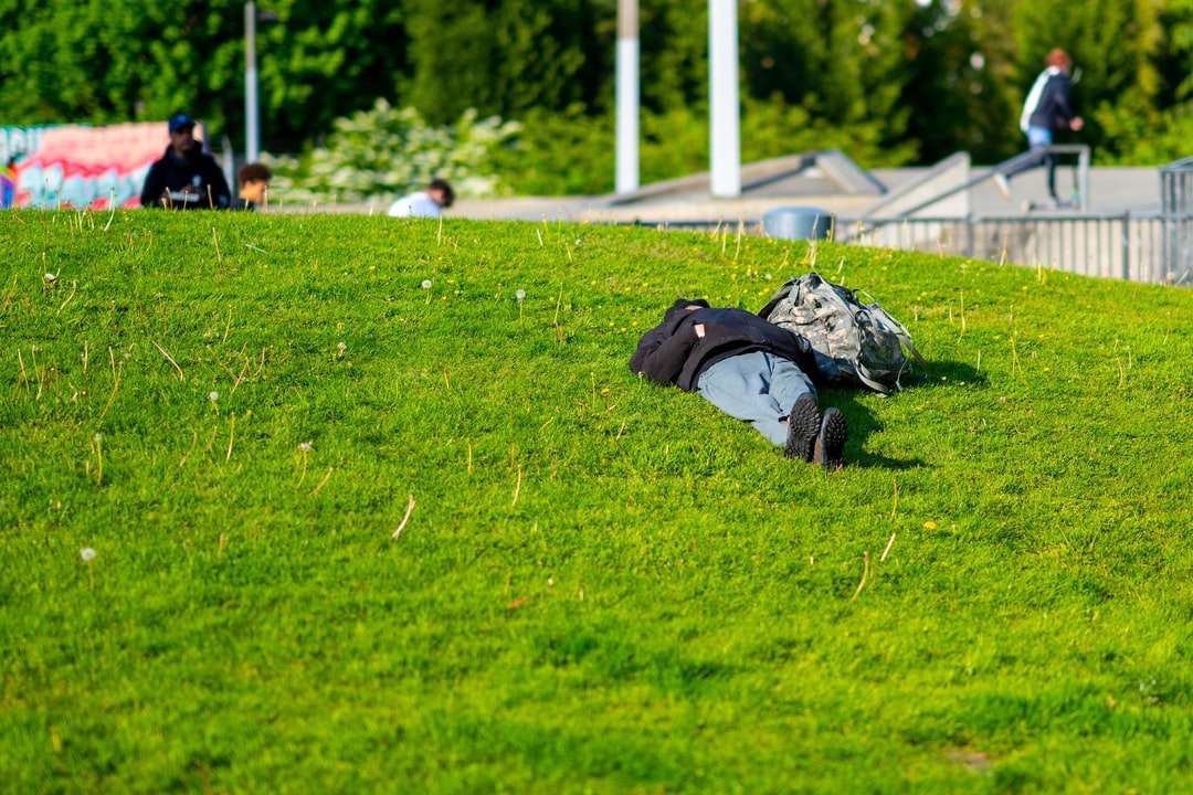 sapatos de caminhada preto e cinza no campo de grama verde quebra-cabeças online