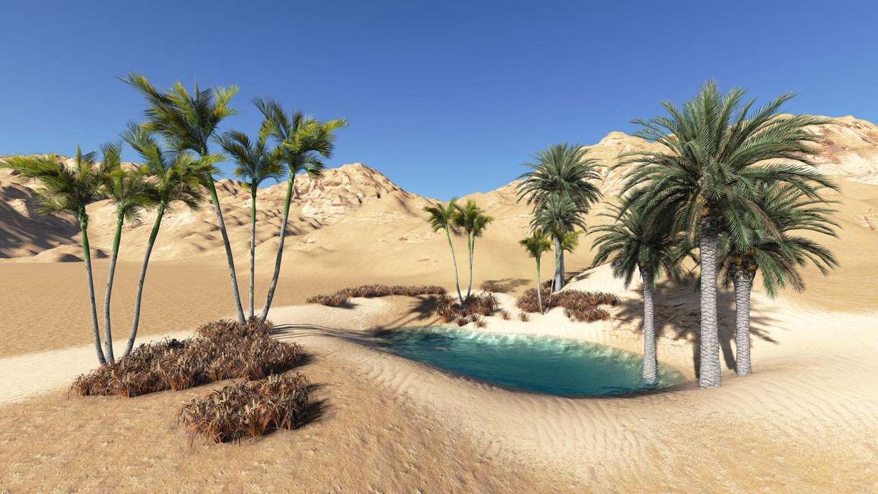 Oasis del desierto rompecabezas en línea