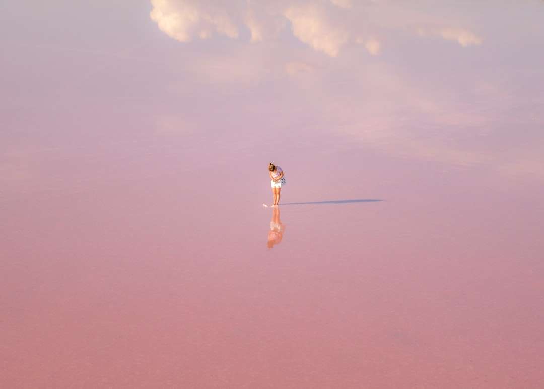 Frau im weißen Kleid, das auf braunem Sand unter blauem Himmel steht Online-Puzzle