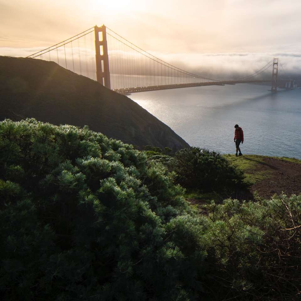 Persoana care stă pe iarbă verde lângă Podul Golden Gate puzzle online