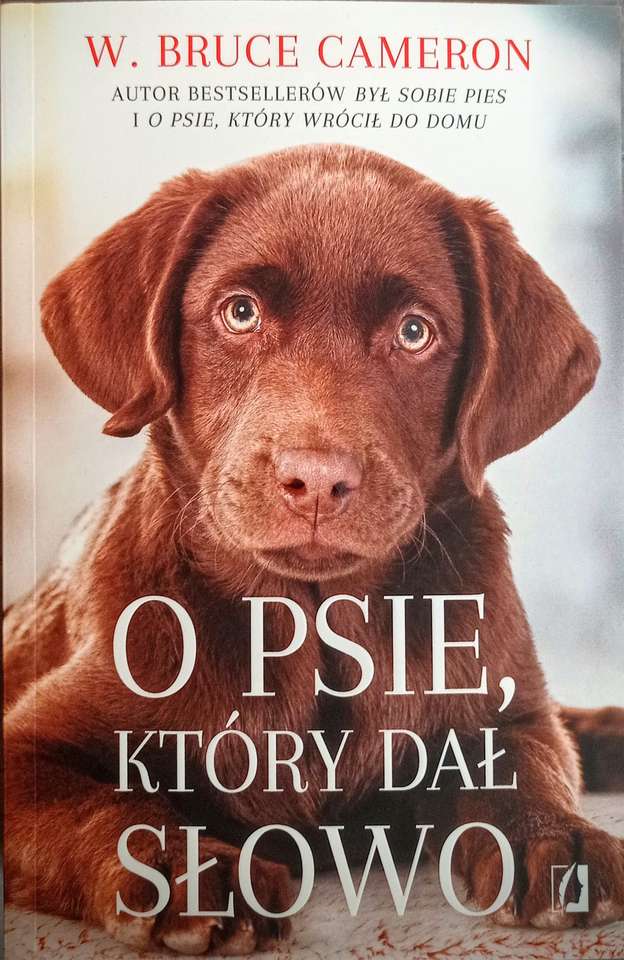 En bok om en hund pussel på nätet