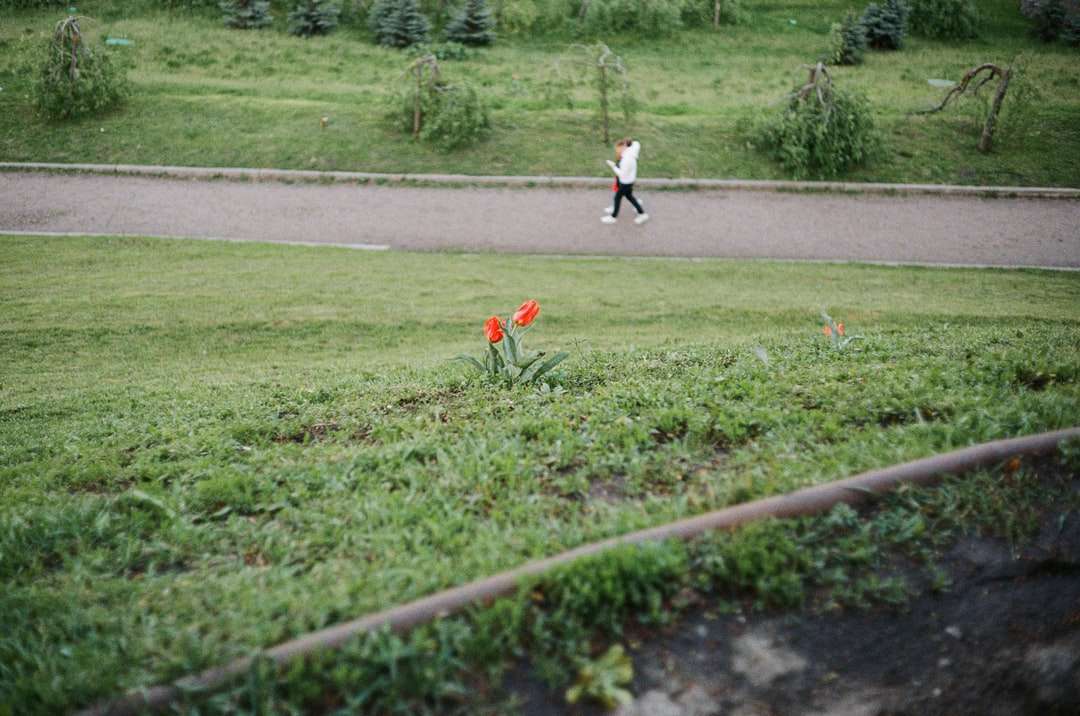 緑の芝生のフィールドで実行されている赤いドレスの女の子 ジグソーパズルオンライン
