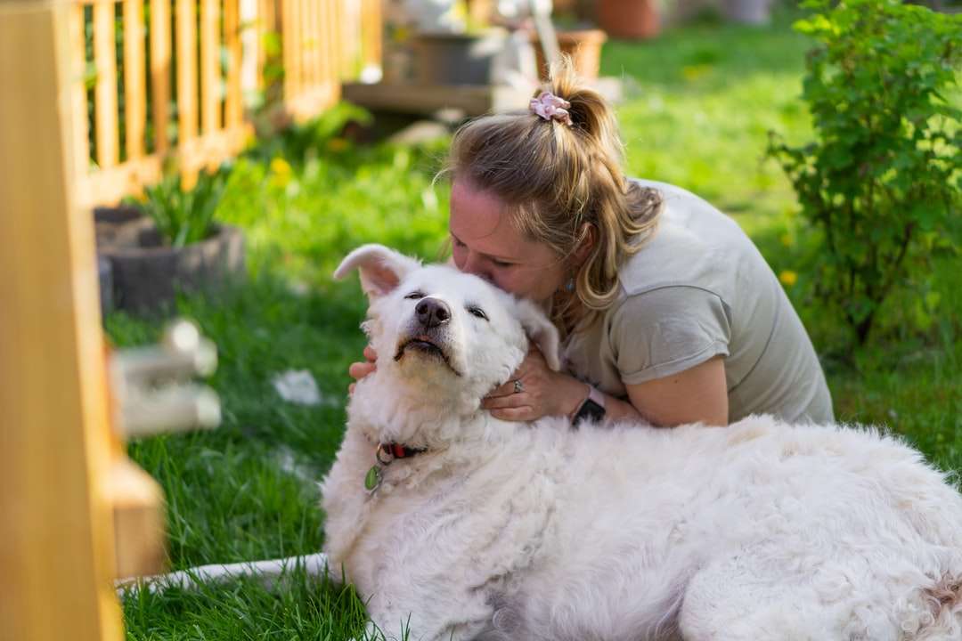 Lány barna póló fekvő fehér kutya zöld fűben kirakós online