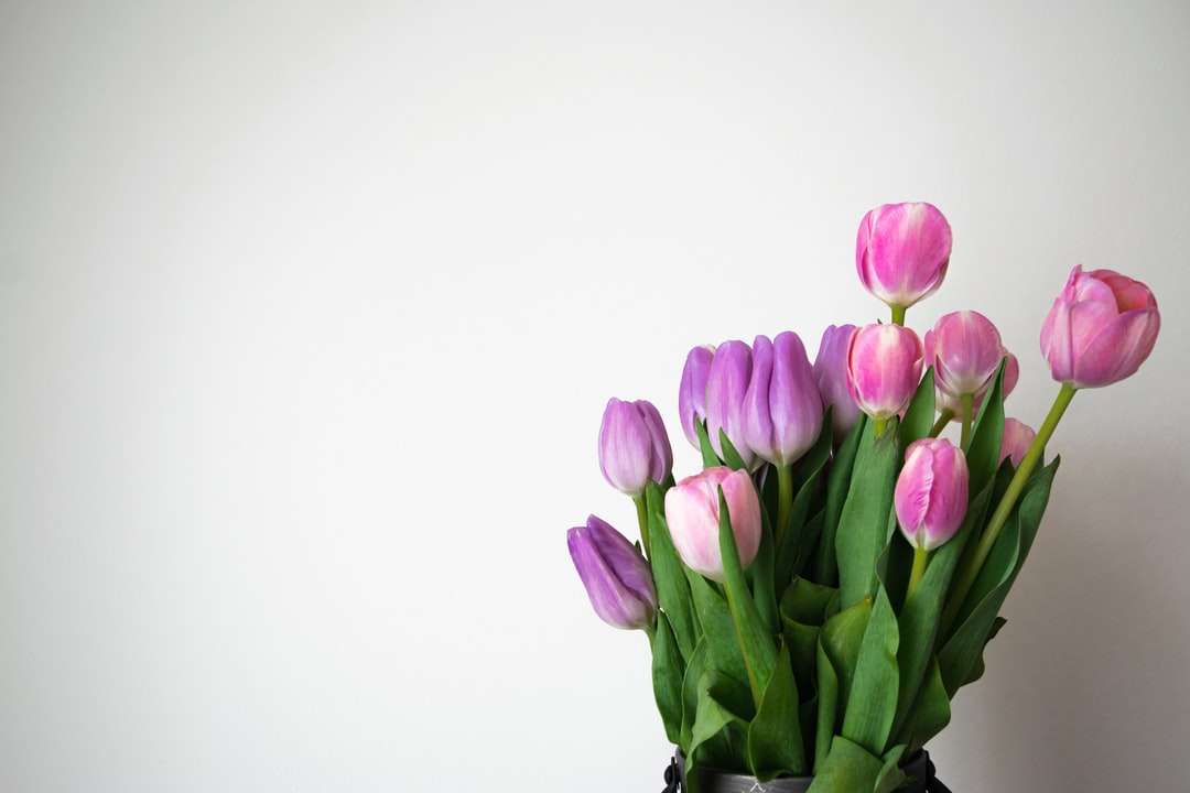 Buquê de tulipas cor de rosa na superfície branca puzzle online