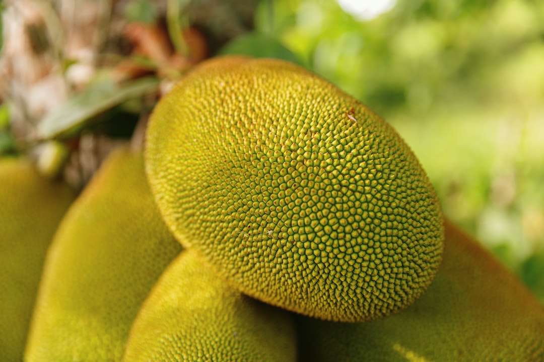 Зелените и жълтите плодове в затворена снимка онлайн пъзел