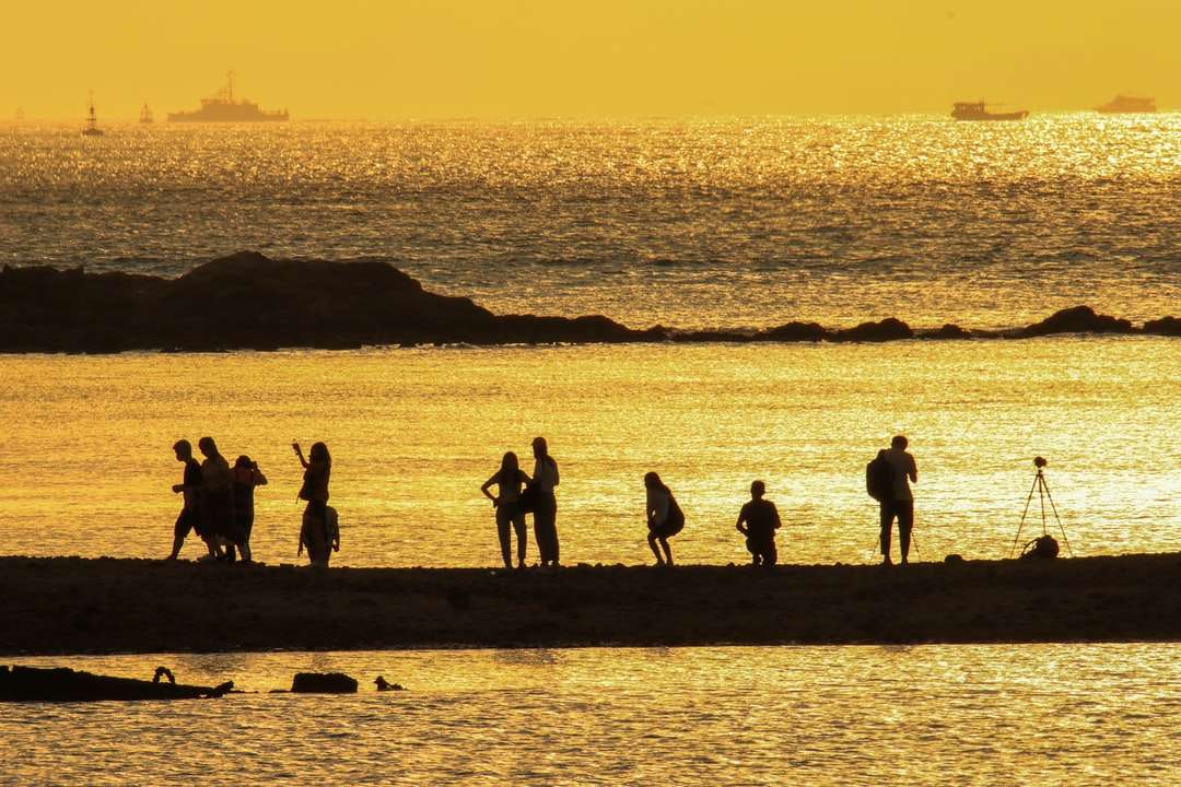 Silhouette der Leute, die auf Küste während des Sonnenuntergangs stehen Puzzlespiel online
