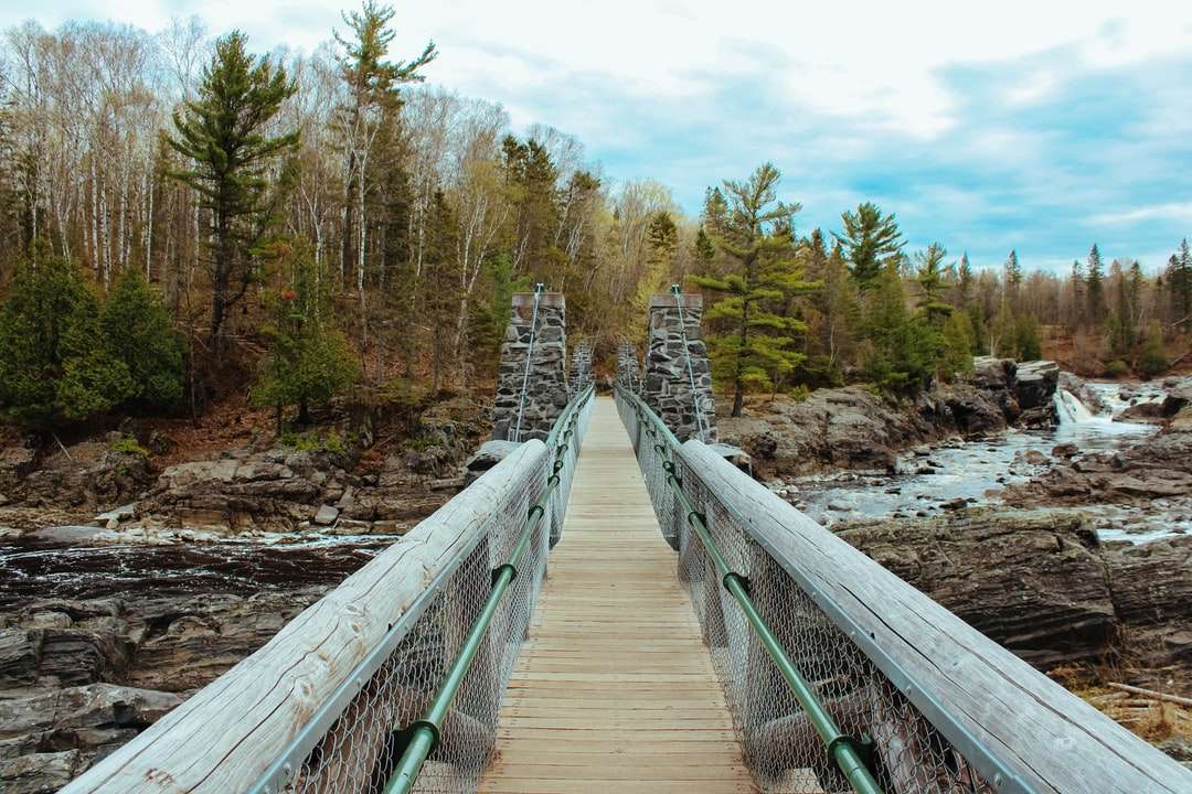 Puente de madera marrón sobre el río rompecabezas en línea