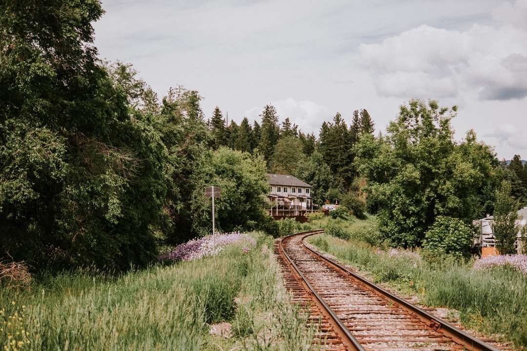 Brown treno ferroviario vicino alberi verdi durante il giorno puzzle online
