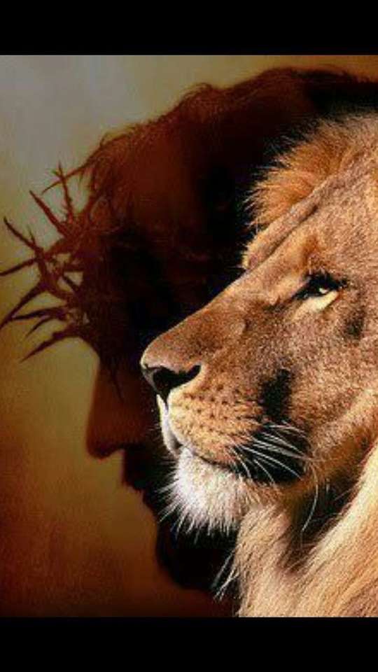 лев львица пазл онлайн