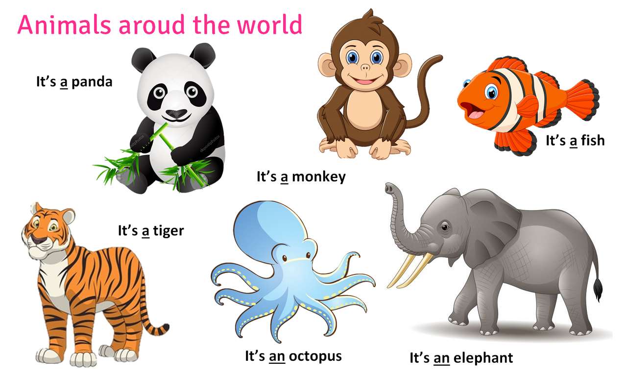 Animali in tutto il mondo puzzle online