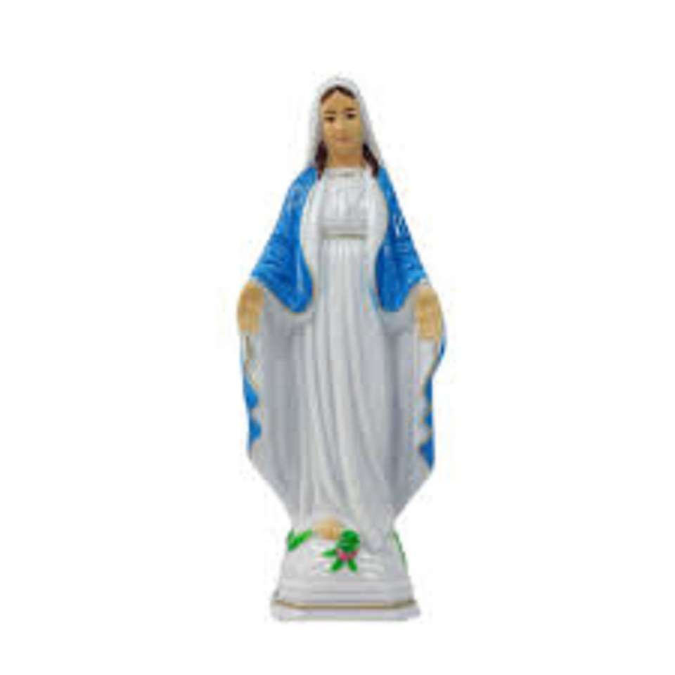 Mary Immaculate online puzzel