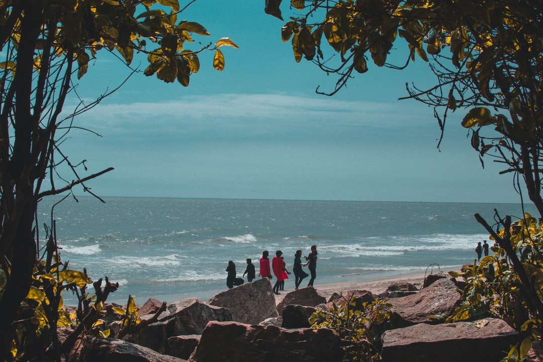 хора, стоящи на скалист бряг през деня онлайн пъзел