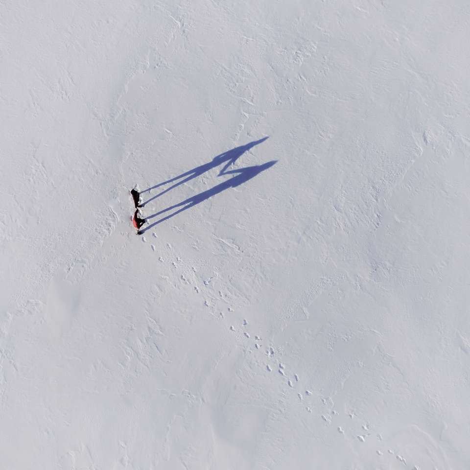 человек, идущий по заснеженному полю в дневное время онлайн-пазл