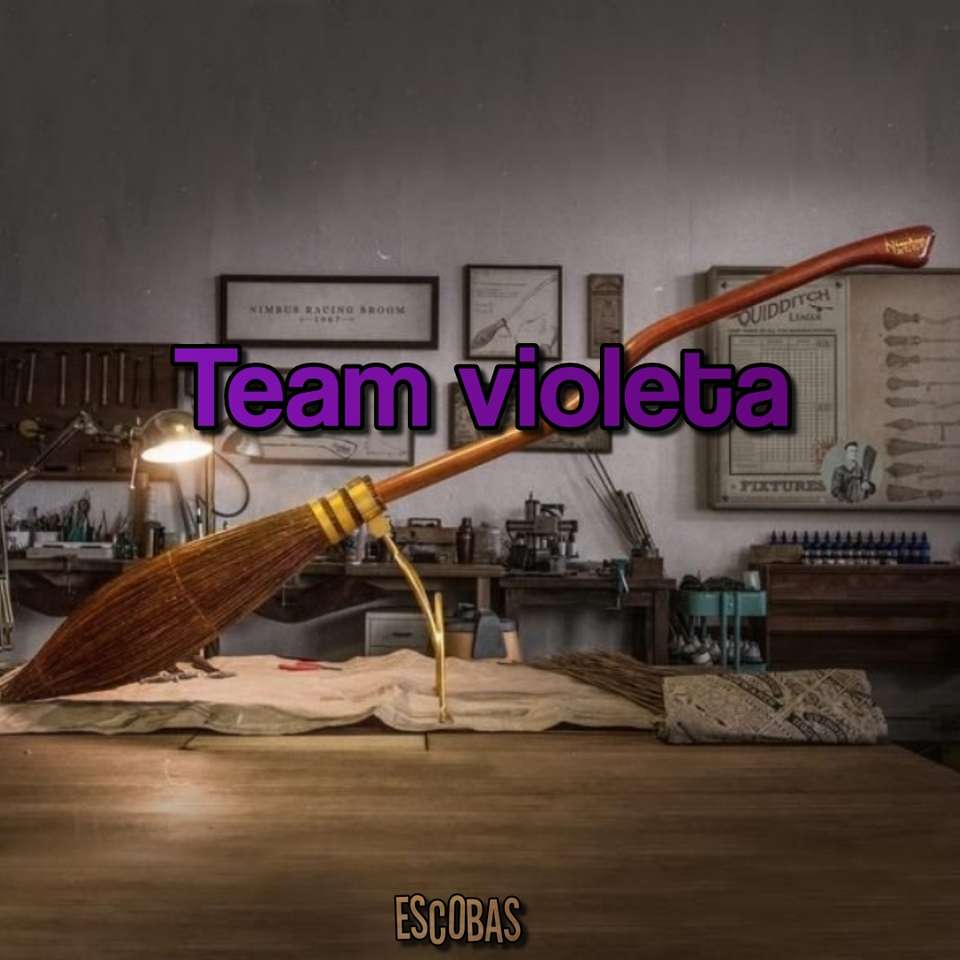 Echipa Violeta. puzzle online