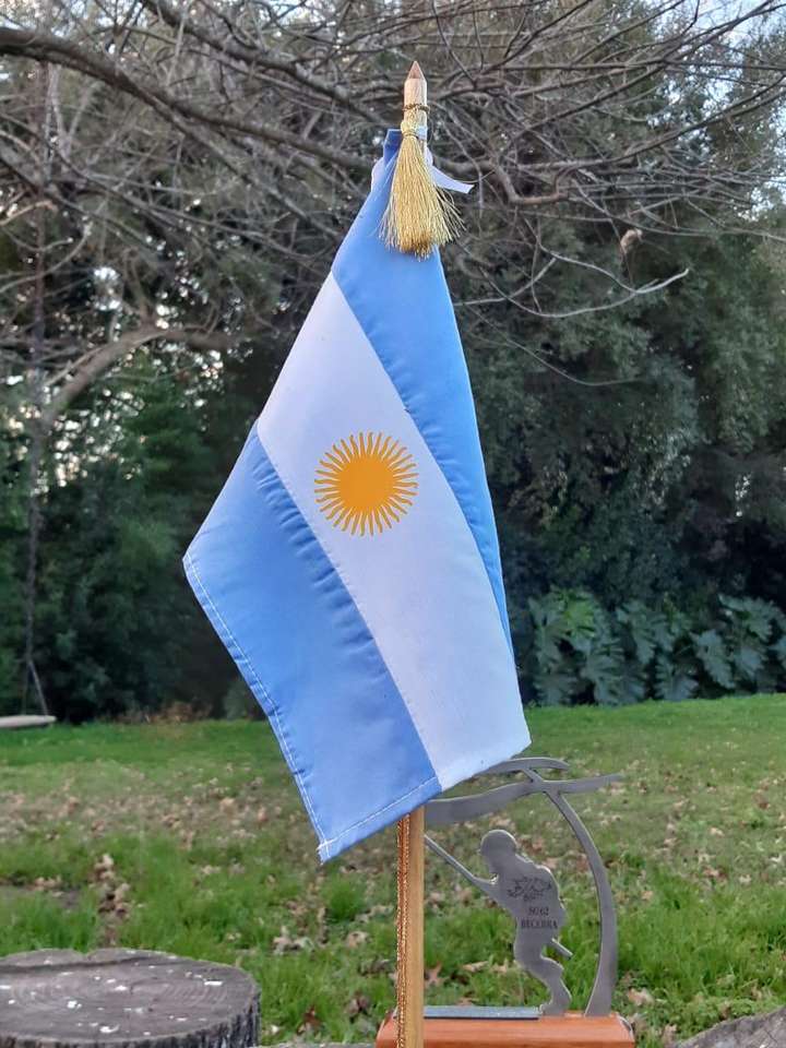 Argentina flag online puzzle