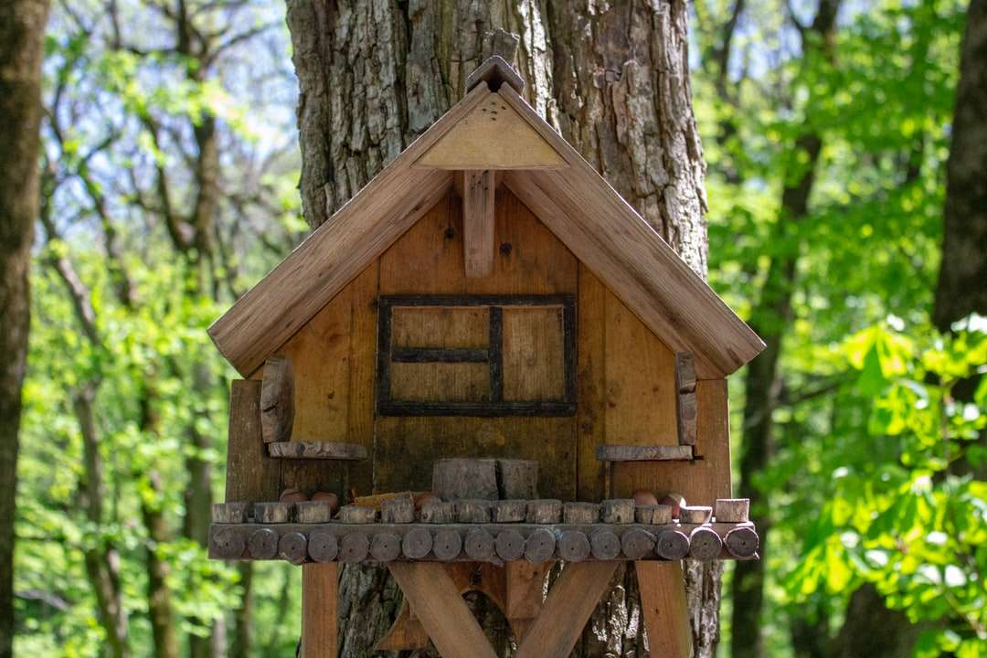 Bruin houten vogelhuis op boom legpuzzel online
