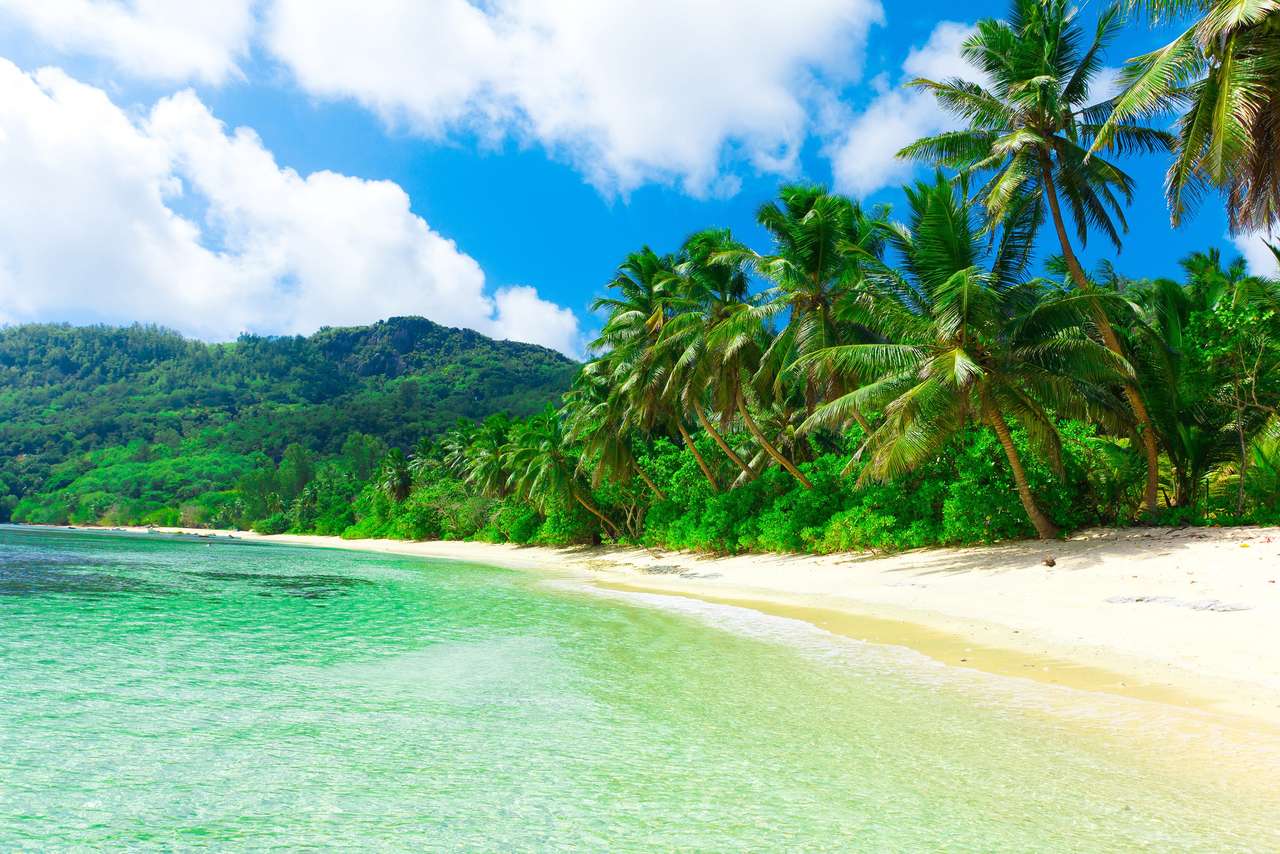 Тропічний пляж. онлайн пазл
