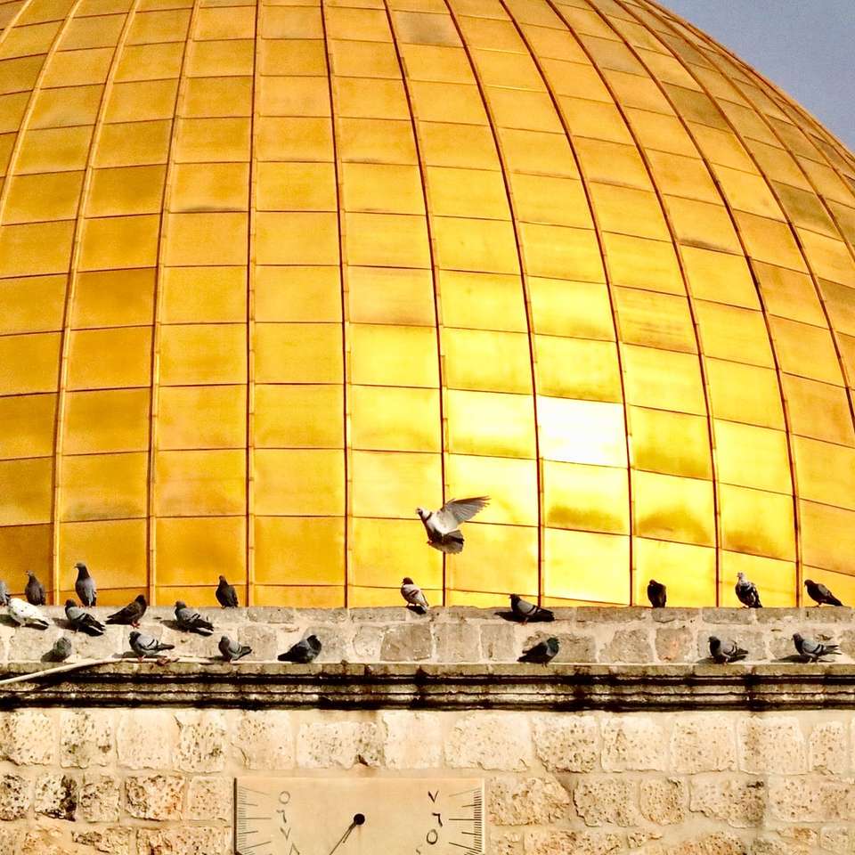 yellow dome building with birds jigsaw puzzle online