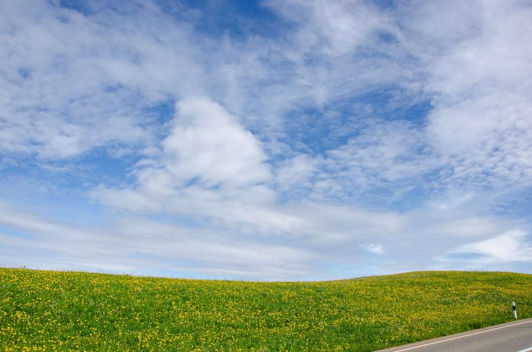 Campo de grama verde sob céu azul e nuvens brancas puzzle online