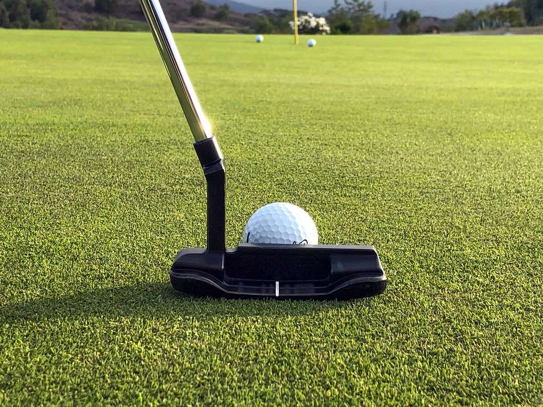 pelota de golf blanca en campo de hierba verde rompecabezas en línea