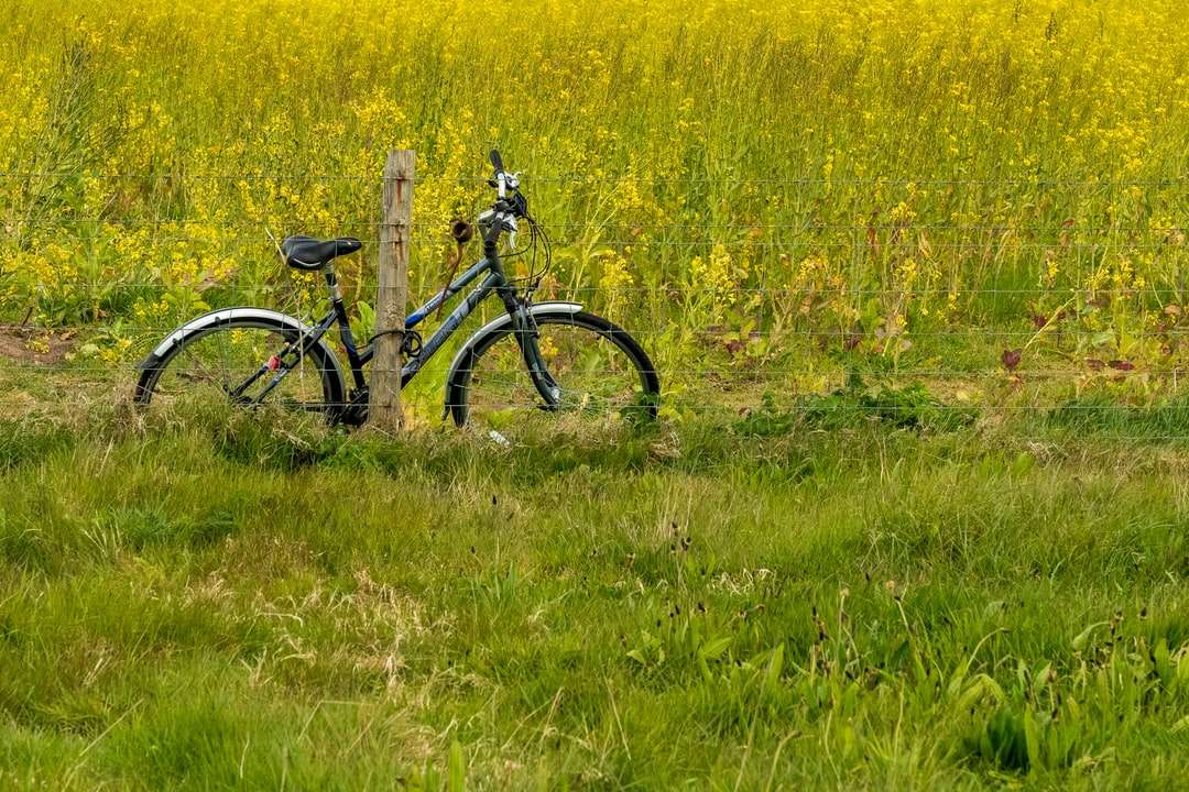 Bicicleta de munte negru și gri pe câmpul de flori galbene puzzle online
