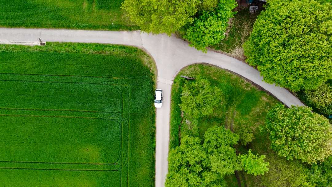 вид с воздуха на поле с зеленой травой пазл онлайн