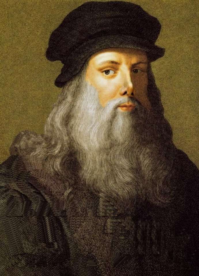 Leonardo Da Vinci pussel på nätet