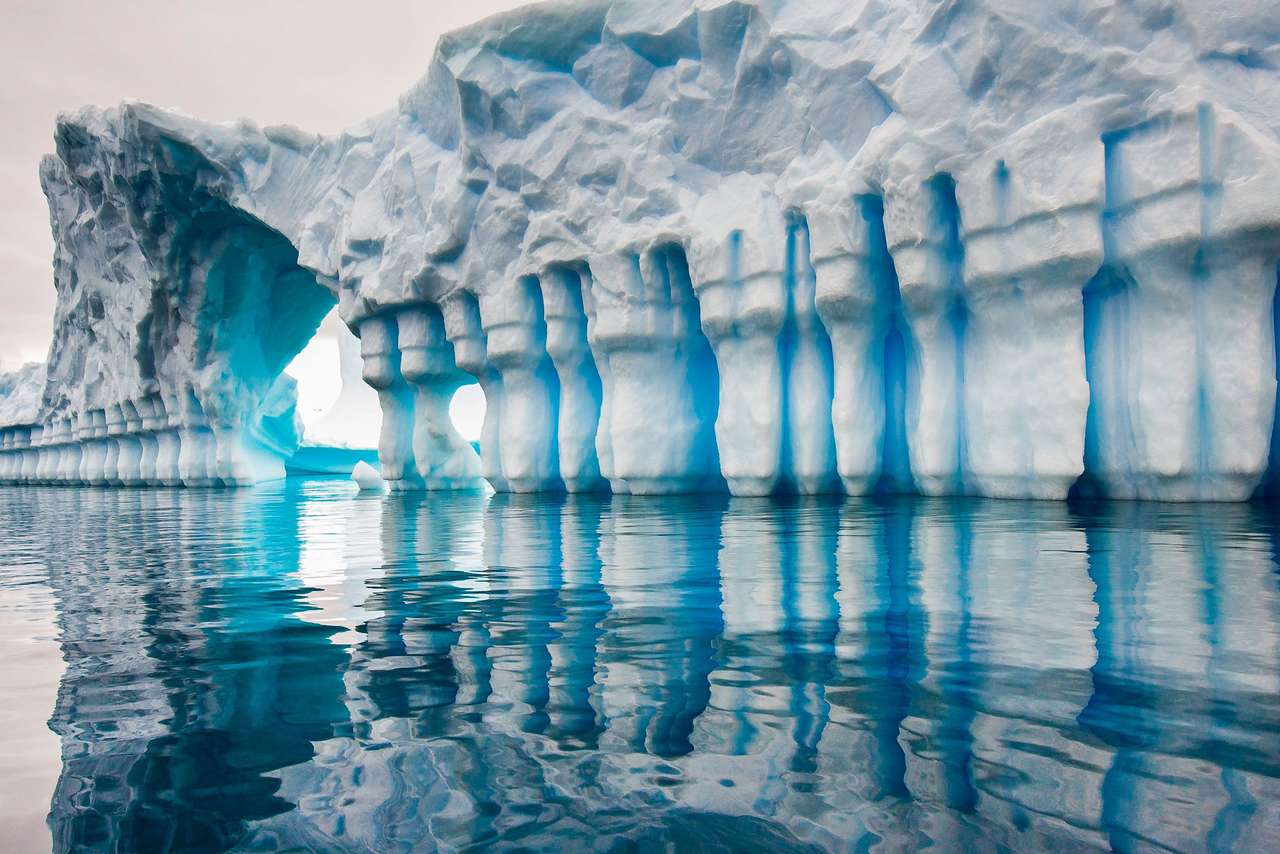 Capa de hielo polar rompecabezas en línea