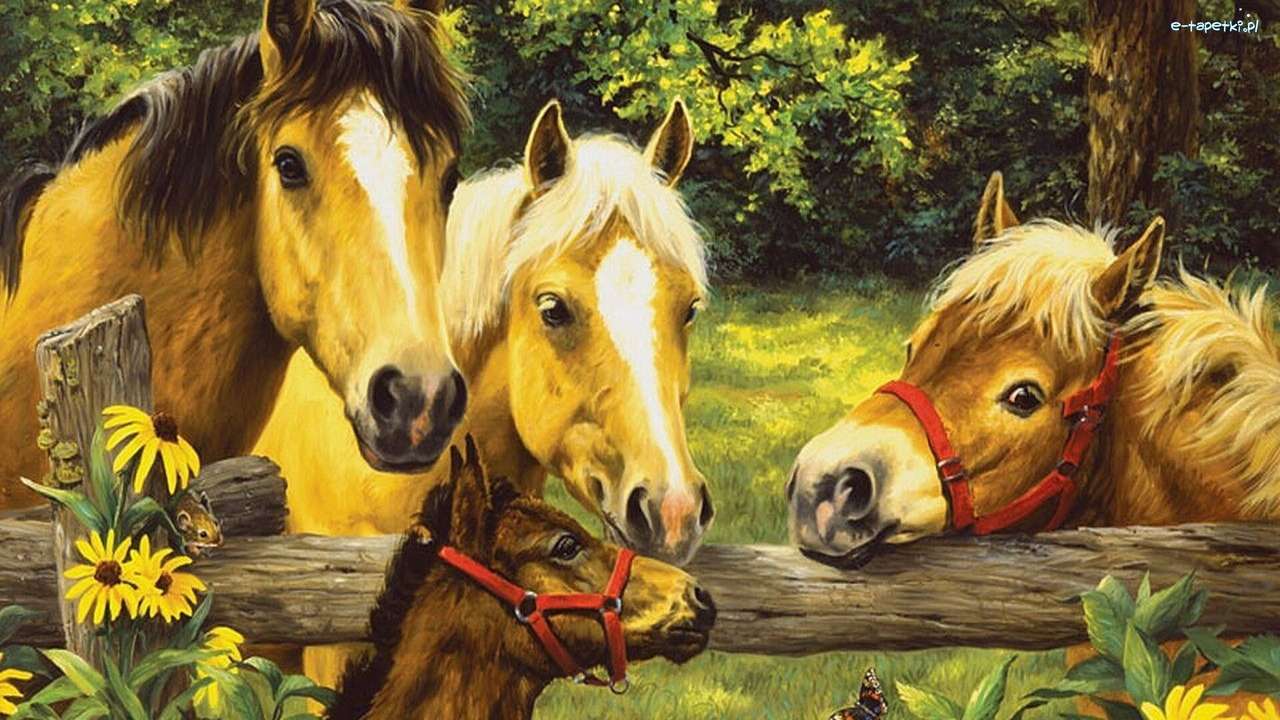 Pferde, Ponys. Online-Puzzle